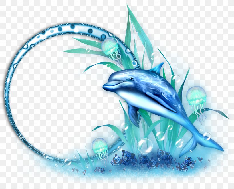Dolphin Clip Art, PNG, 1672x1348px, Dolphin, Aqua, Blue, Dragon, Email Download Free