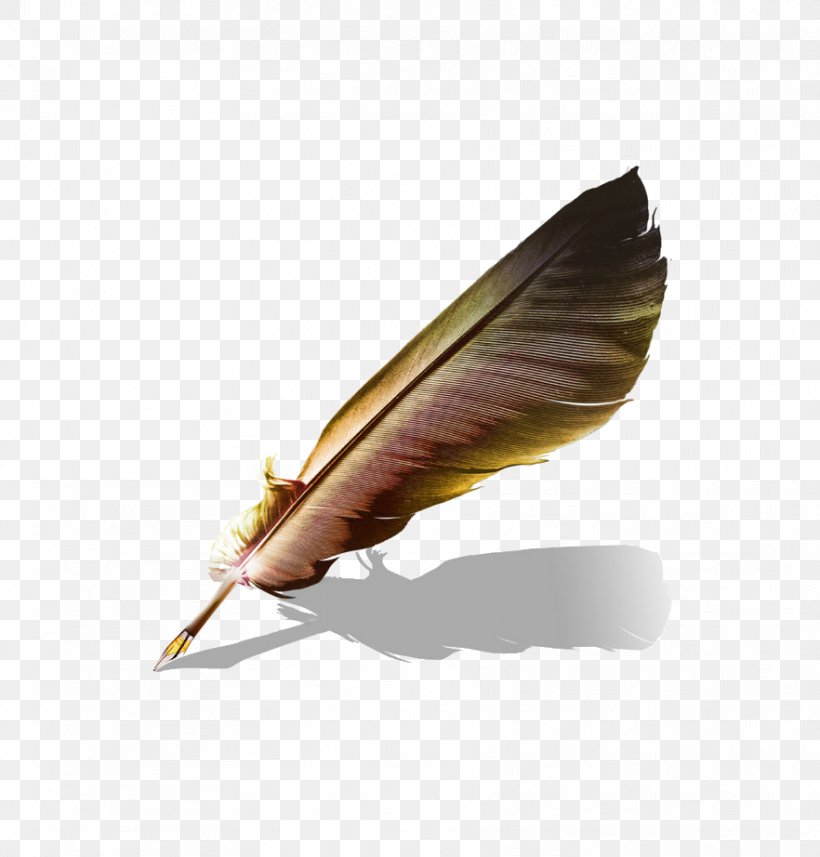 Matilda Paper Quill, PNG, 882x922px, Matilda, Book, Feather, Ink, Ink Brush Download Free