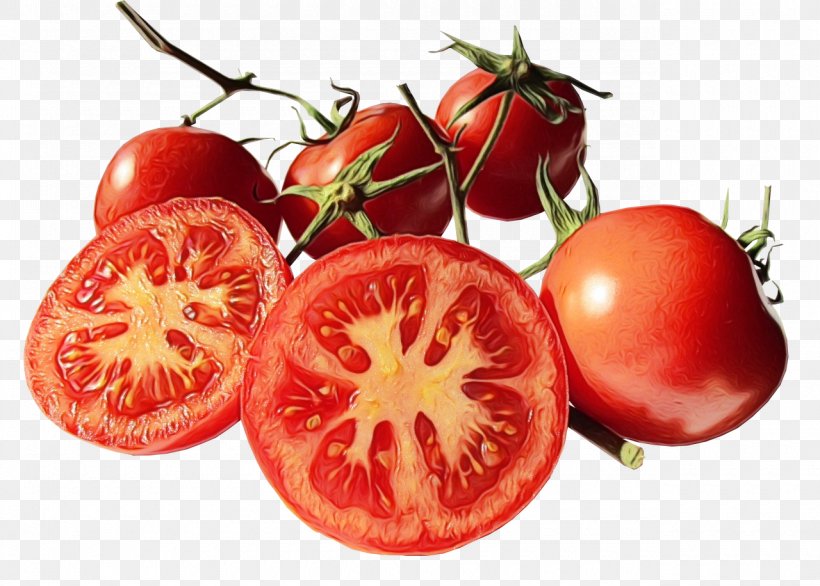 Tomato, PNG, 1280x916px, Watercolor, Bush Tomato, Cherry Tomatoes, Food, Fruit Download Free