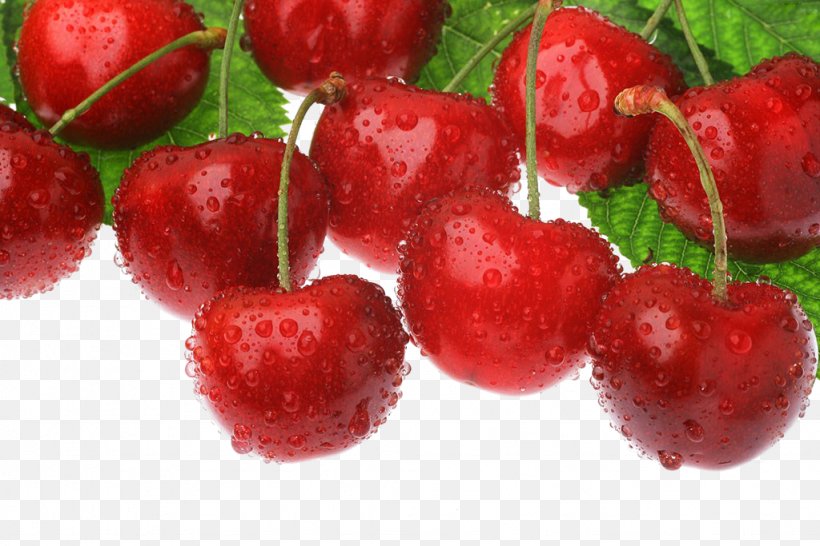 Cherry Auglis Download, PNG, 1024x683px, Cherry, Acerola, Acerola Family, Auglis, Berry Download Free
