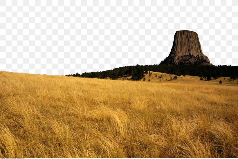 Devils Tower Tourist Attraction National Park, PNG, 1024x687px, Devils Tower, Commodity, Field, Grass, Grass Family Download Free