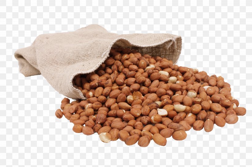 Peanut Vegetarian Cuisine Bean Food, PNG, 5184x3456px, Peanut, Bean, Commodity, Food, Ingredient Download Free