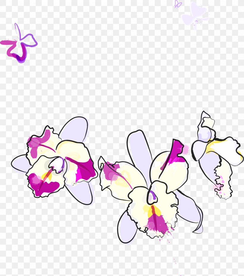 Phalaenopsis Violacea Flower, PNG, 1686x1902px, Phalaenopsis Violacea, Area, Art, Branch, Cartoon Download Free