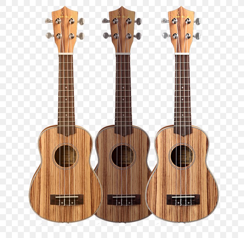 Ukulele Acoustic Guitar Tiple Cuatro Cavaquinho, PNG, 800x800px, Watercolor, Cartoon, Flower, Frame, Heart Download Free