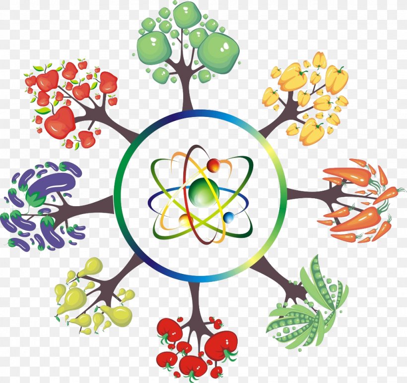 Floral Design Graphic Design Tree, PNG, 1024x966px, Floral Design, Area, Art, Artwork, Branch Download Free