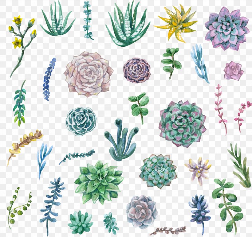 Watercolor Painting Succulent Plant Clip Art, PNG, 4043x3811px, Watercolor Painting, American Larch, Art, Botany, Cactus Download Free