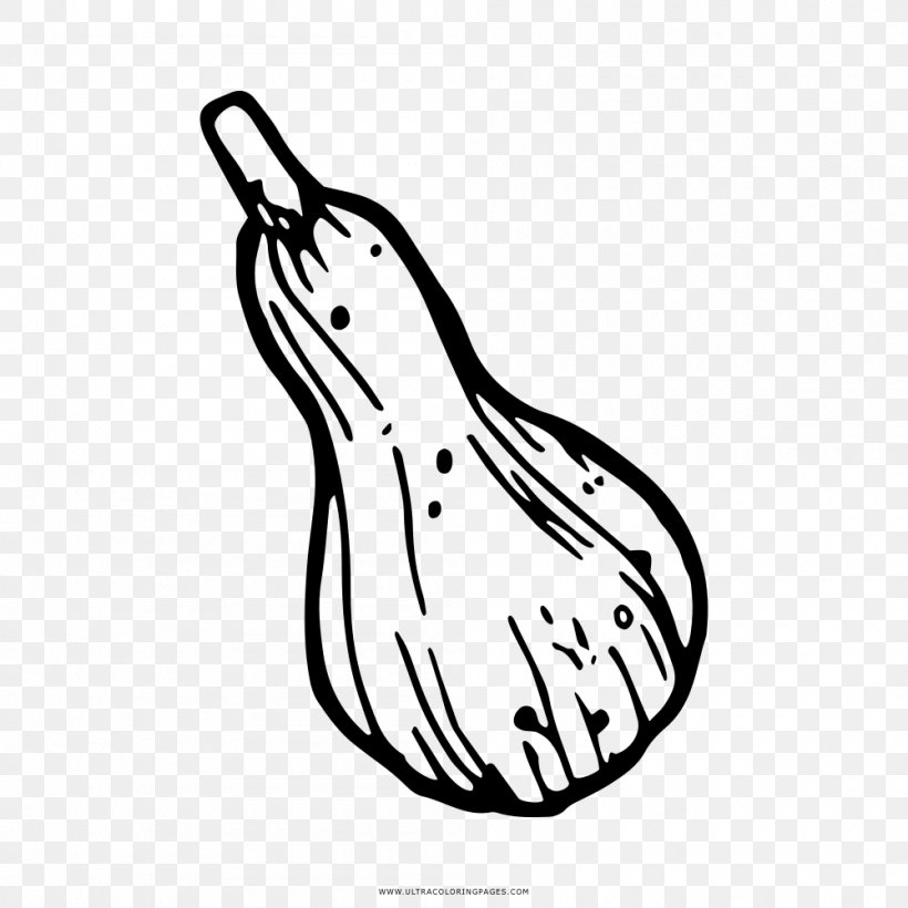 Coloring Book Drawing Gourd Line Art Clip Art, PNG, 1000x1000px, Coloring Book, Artwork, Black, Black And White, Cartoon Download Free
