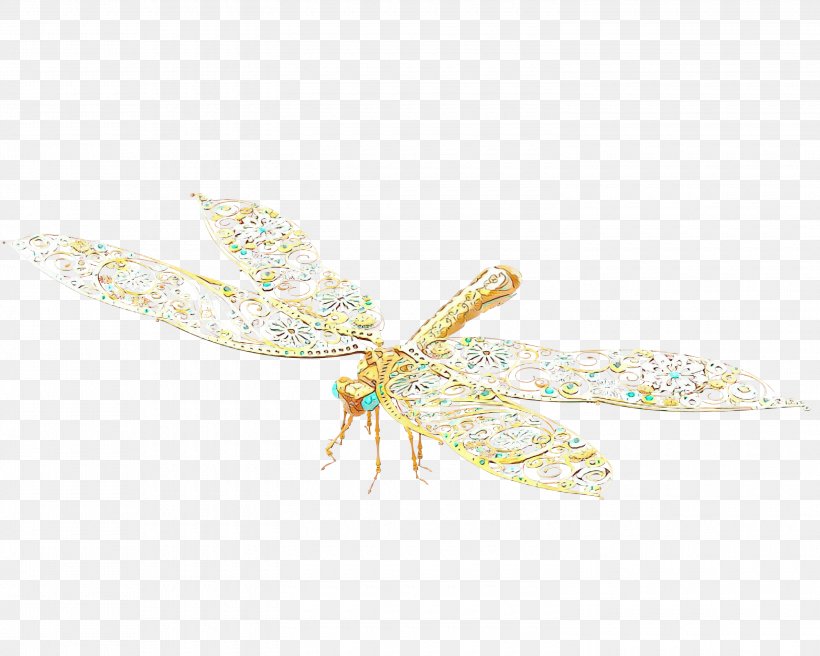 Dragonfly Insect, PNG, 3000x2400px, Dragonfly, Brooch, Dragonflies And Damseflies, Insect, Membrane Download Free