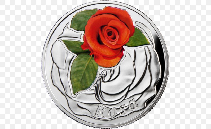 Garden Roses Silver Coin Flower, PNG, 500x500px, Garden Roses, Coin, Cut Flowers, Flower, Flowering Plant Download Free