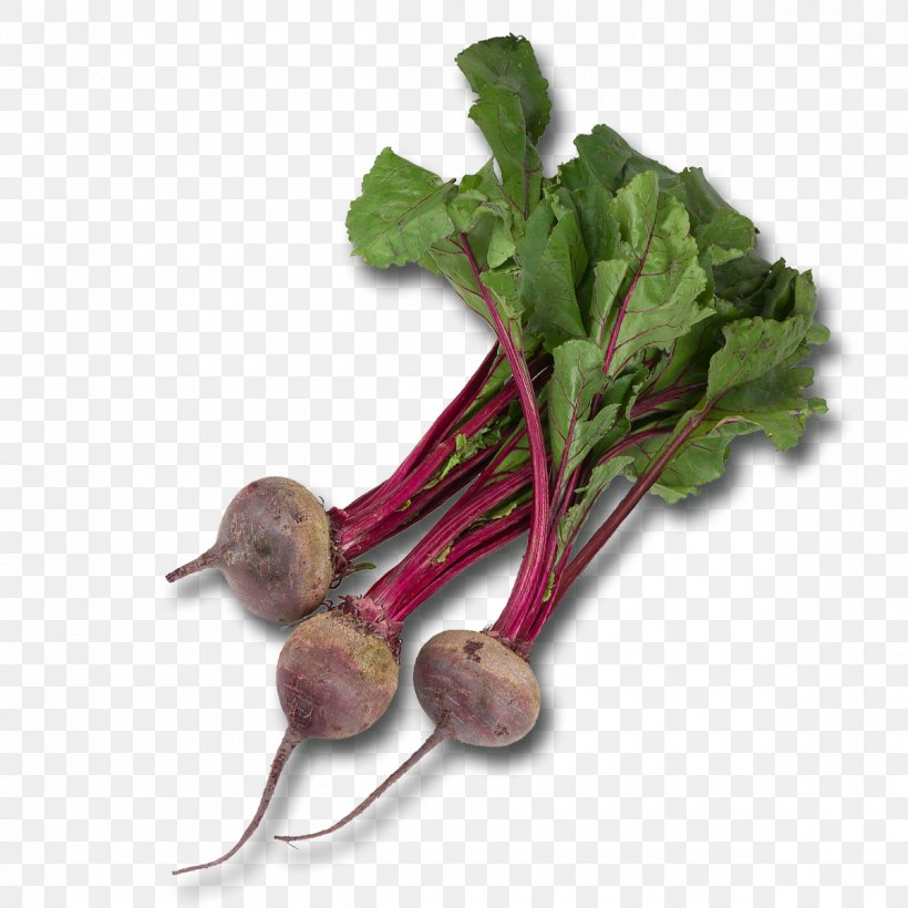 Vegetable Beetroot Chard Food Common Beet, PNG, 1200x1200px, Vegetable, Beet, Beetroot, Celeriac, Chard Download Free