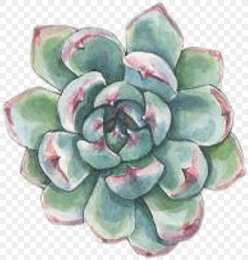 Watercolor Painting Succulent Plant Drawing Cactus, PNG, 1024x1072px, Watercolor Painting, Agave, Art, Botany, Cactus Download Free