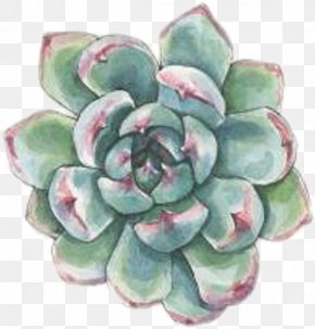 Succulent Transparent key - Watercolor Painting Succulent Plant Drawing Cactus PNG