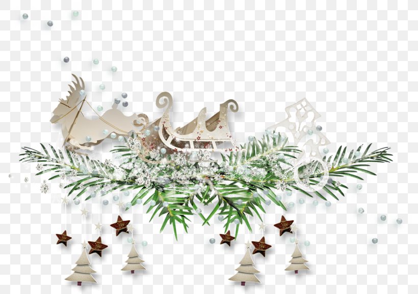 Blog Image Christmas Day Skyrock Proverb, PNG, 800x578px, Blog, Branch, Child, Christmas Day, Christmas Ornament Download Free