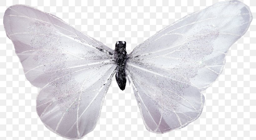 Butterfly White, PNG, 800x450px, Butterfly, Arthropod, Black And White, Drawing, Insect Download Free