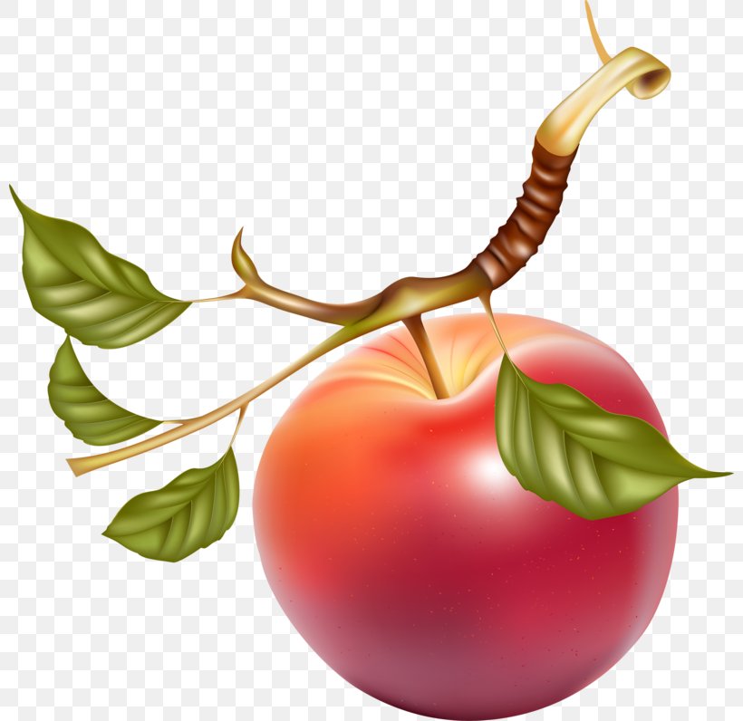 Juice Apple Fruit Clip Art, PNG, 800x796px, Juice, Apple, Berry, Diet Food, Dried Fruit Download Free