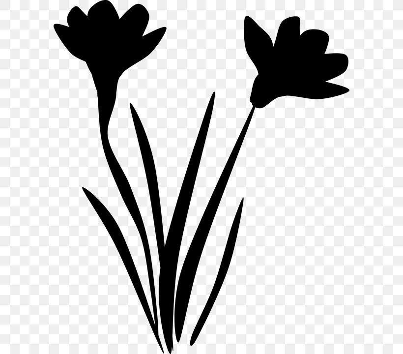 Twig Clip Art Leaf Plant Stem Silhouette, PNG, 602x720px, Twig, Black M, Blackandwhite, Botany, Flower Download Free