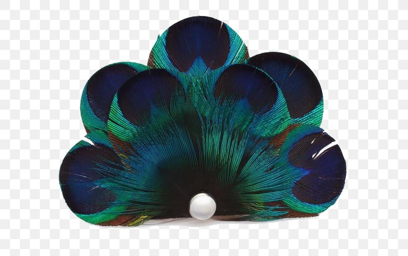 Feather Hairpin Barrette Ponytail, PNG, 600x514px, Feather, Barrette, Capelli, Cosmetics, Face Download Free