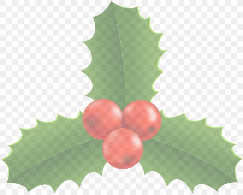 Holly, PNG, 3000x2412px, Holly, Flower, Green, Leaf, Plant Download Free