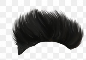 Hair - PicsArt Photo Studio Image Editing Hairstyle PNG