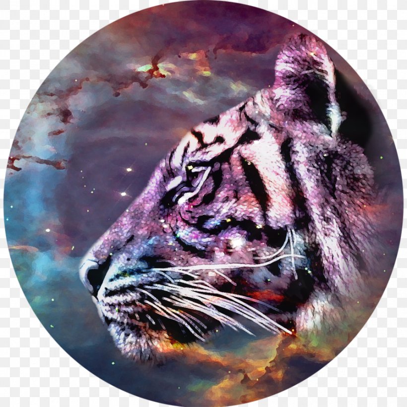 Tiger Whiskers Roar Cat Snout, PNG, 894x894px, Tiger, Big Cat, Big Cats, Carnivoran, Cat Download Free