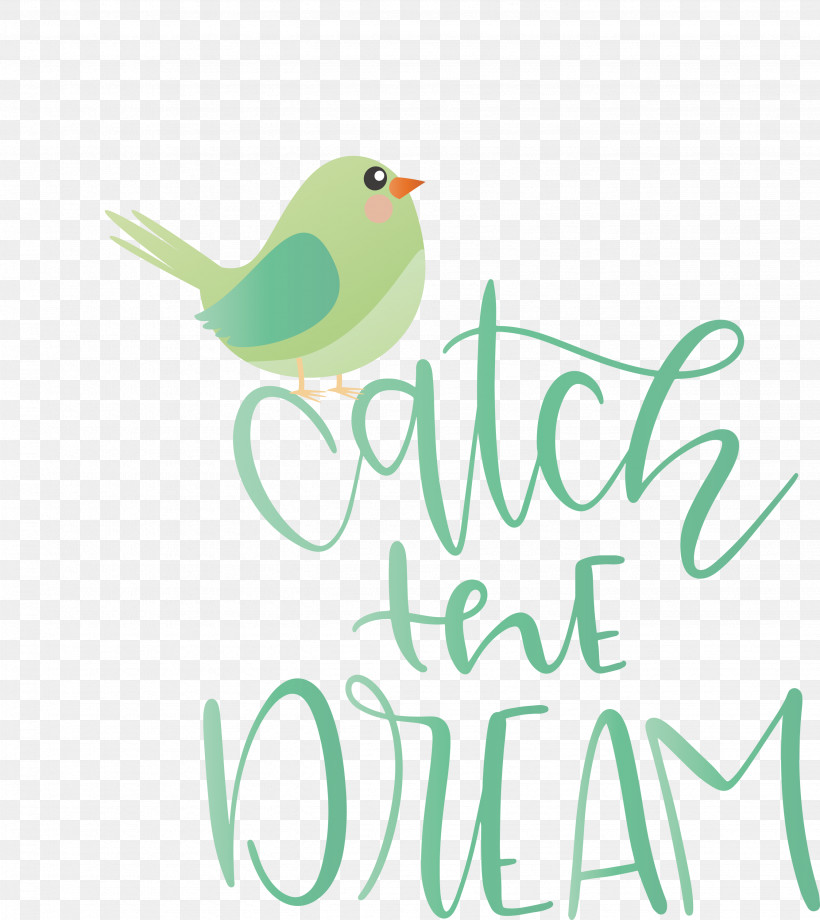 Catch The Dream Dream, PNG, 2672x3000px, Dream, Beak, Birds, Branching, Feather Download Free