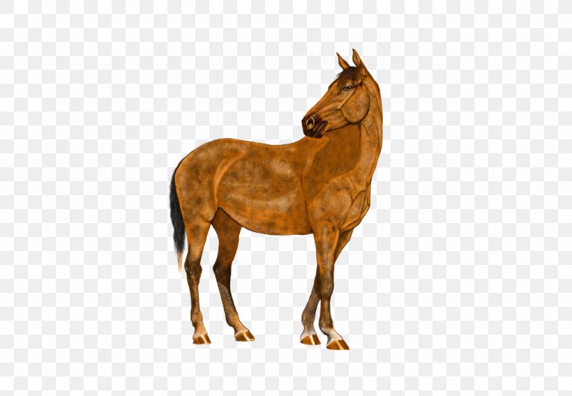 Horse Stallion Pony Digital Art, PNG, 1280x887px, Horse, Animal Figure, Art, Bridle, Colt Download Free