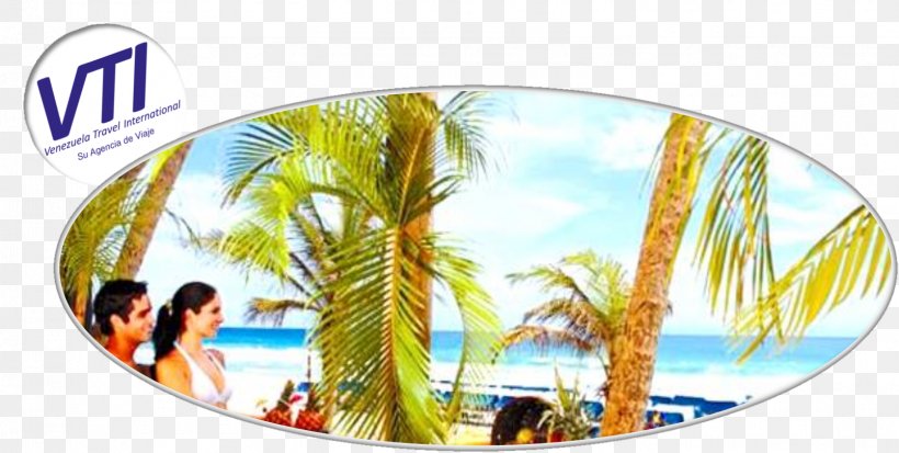 Hotel Hesperia Playa El Agua Playa El Yaque Beach, PNG, 1607x811px, Playa El Yaque, Beach, Cheap, Hotel, Island Download Free