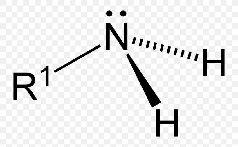 Propylamine Amide Primary Functional Group, PNG, 800x509px, Amine, Amide, Ammonia, Area, Black Download Free