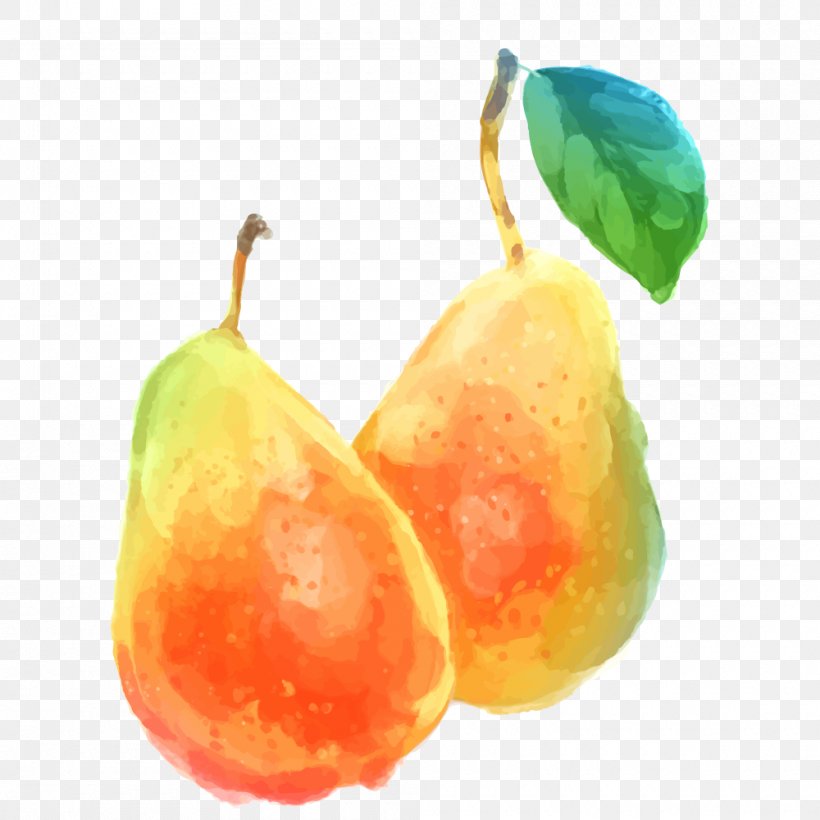 Pyrus Xd7 Bretschneideri Watercolor Painting Auglis, PNG, 1000x1000px, Pyrus Xd7 Bretschneideri, Art, Auglis, Diet Food, Food Download Free