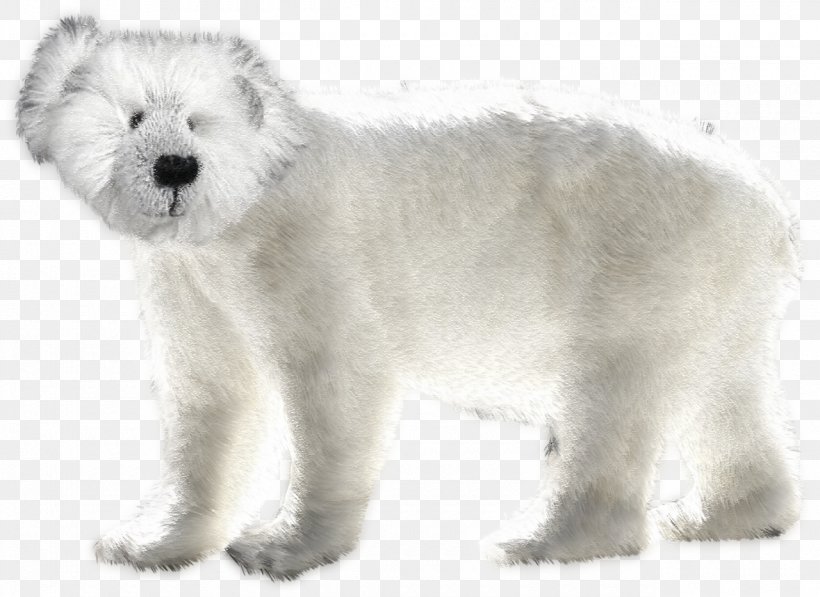 West Highland White Terrier Polar Bear Rare Breed (dog) Clip Art, PNG, 1280x933px, West Highland White Terrier, Animal, Bear, Breed Group Dog, Canidae Download Free