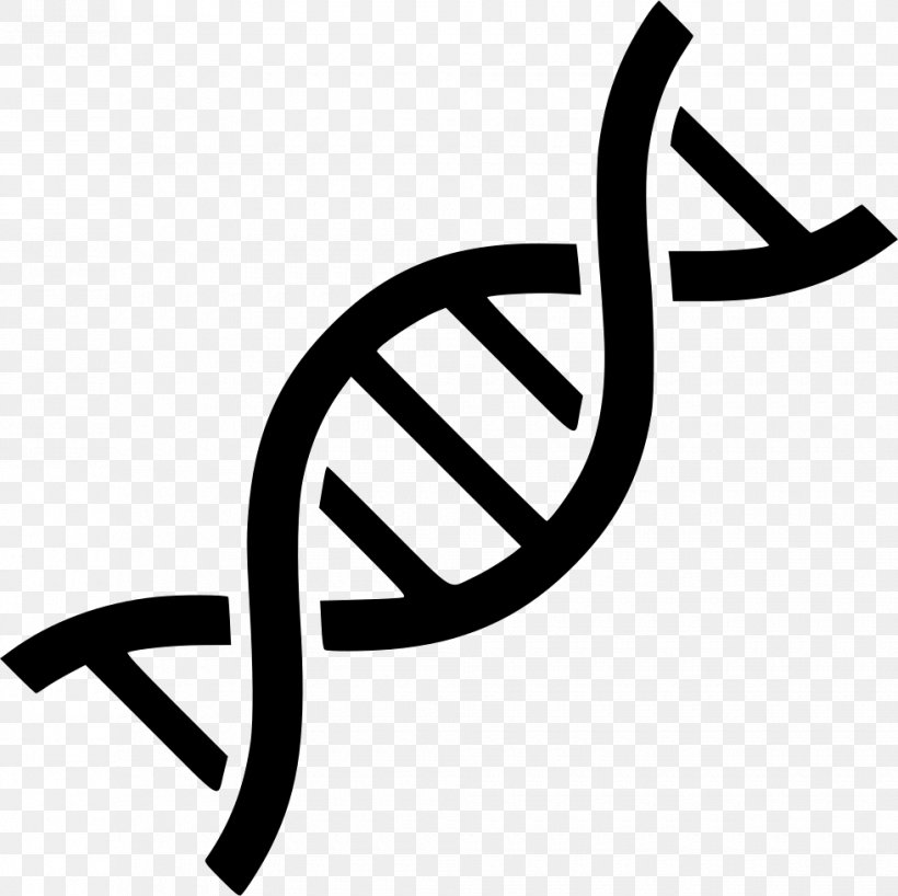 DNA Genetics Nucleic Acid Double Helix, PNG, 980x978px, Dna, Area, Biochemistry, Biology, Black And White Download Free