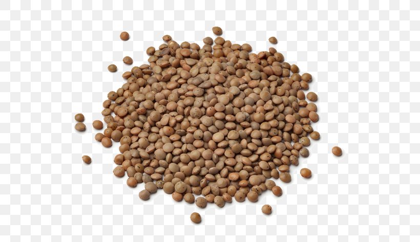 Lentil Ethiopian Cuisine Crumble Ham Poultry Feed, PNG, 638x473px, Lentil, Bean, Cereal, Chickpea, Commodity Download Free
