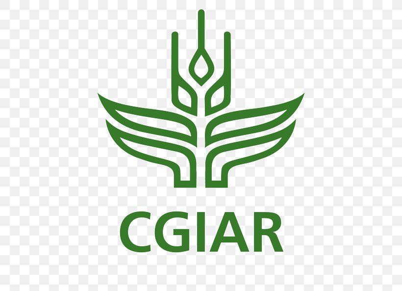 CGIAR International Institute Of Tropical Agriculture Organization Global Forum On Agricultural Research And Innovation, PNG, 500x593px, Cgiar, Agriculture, Area, Artwork, Big Data Download Free