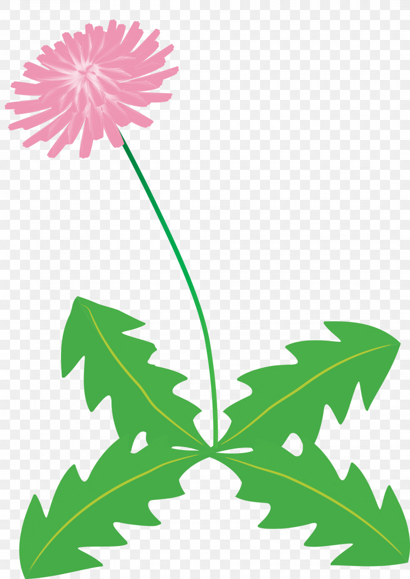 Dandelion Flower, PNG, 2121x2999px, Dandelion Flower, Branch, Common Daisy, Floral Design, Flower Download Free