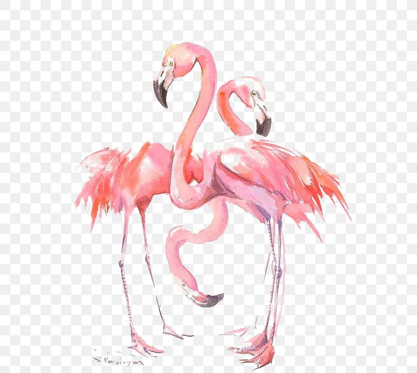Flamingos Bird Watercolor Painting, PNG, 564x734px, Flamingos, Art, Beak, Bird, Cartoon Download Free
