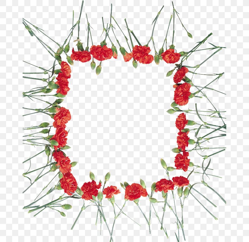 Floral Design Carnation Cut Flowers Wreath, PNG, 673x800px, Floral Design, Carnation, Christmas Decoration, Cut Flowers, Decor Download Free