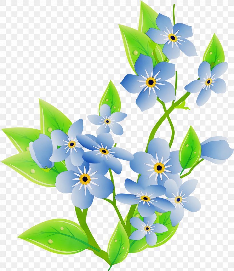 Flower Plant Petal Forget-me-not Ixia, PNG, 2156x2500px, Watercolor, Borage Family, Flower, Forgetmenot, Ixia Download Free