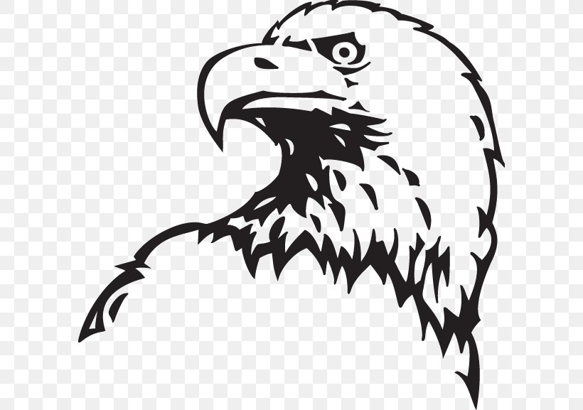 Bald Eagle Drawing Clip Art, PNG, 600x577px, Bald Eagle, Artwork, Beak, Bird, Bird Of Prey Download Free