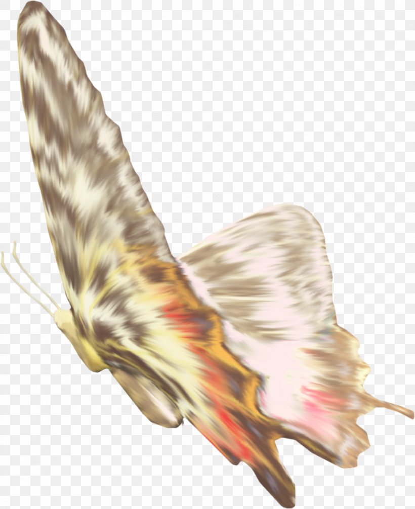 Butterfly Feather Wing Pollinator Illustration, PNG, 952x1169px, Butterfly, Beak, Butterflies And Moths, Fauna, Feather Download Free