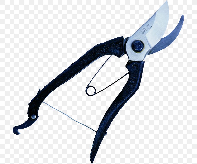 Shaodong County Tool Electroplating Scissors Pruning, PNG, 714x683px, Tool, Business, Company, Diagonal Pliers, Electroplating Download Free