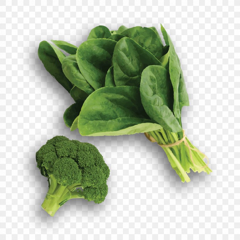 Spinach Chard Collard Greens Komatsuna Cruciferous Vegetables, PNG, 1667x1667px, Spinach, Basil, Chard, Choy Sum, Collard Greens Download Free