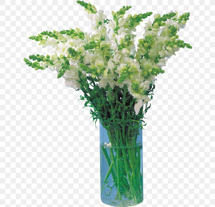 Bryansk Cut Flowers Garden Roses Flowerpot, PNG, 646x790px, Bryansk, Bryansk Oblast, Cut Flowers, Depositfiles, Floor Download Free