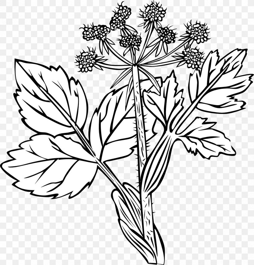 Medicinal Plants Vector Graphics Clip Art Flowering Plant, PNG, 1224x1280px, Plants, Anemone Piperi, Black And White, Botany, Branch Download Free