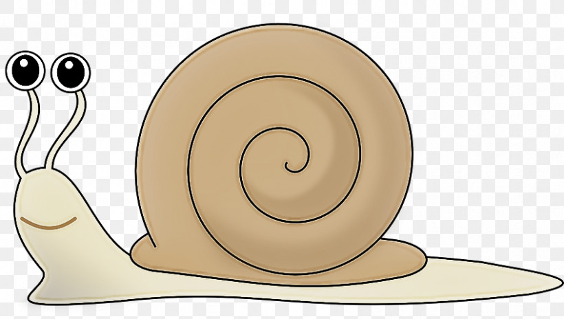 Snails And Slugs Snail Sea Snail Slug Spiral, PNG, 848x480px, Snails And Slugs, Sea Snail, Slug, Snail, Spiral Download Free