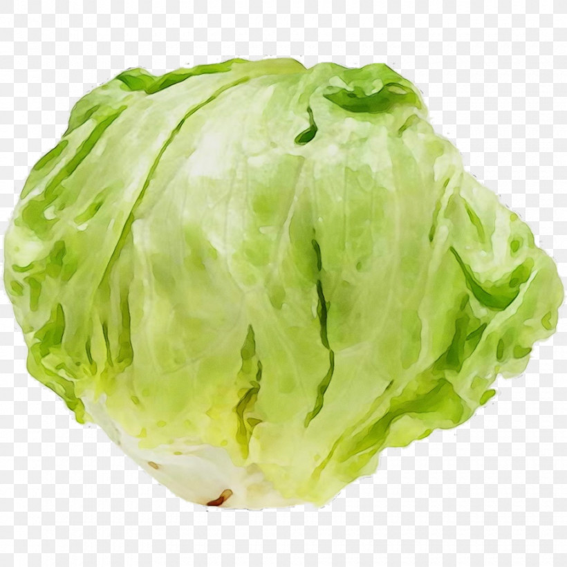 Romaine Lettuce Cabbage Lettuce, PNG, 920x920px, Watercolor, Cabbage, Lettuce, Paint, Romaine Lettuce Download Free
