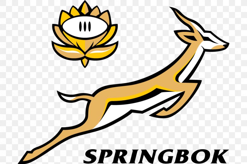 South Africa National Rugby Union Team 2017 Rugby Championship Springbok New Zealand National Rugby Union Team Australia National Rugby Union Team, PNG, 1020x680px, Springbok, Artwork, Australia National Rugby Union Team, Beak, Black And White Download Free