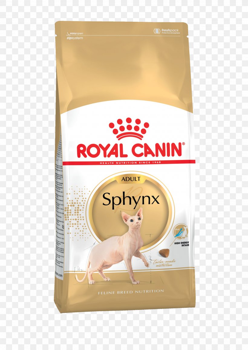 Sphynx Cat Cat Food Dog Persian Cat British Shorthair, PNG, 2480x3508px, Sphynx Cat, British Shorthair, Cat, Cat Food, Cat Health Download Free