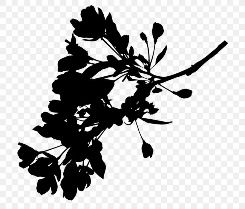 M / 0d Black & White, PNG, 800x701px, M 0d, Black White M, Blackandwhite, Botany, Branch Download Free
