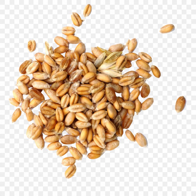 Cereal Germ Wheat Grain, PNG, 1000x1000px, Cereal, Caryopsis, Cereal Germ, Commodity, Dinkel Wheat Download Free