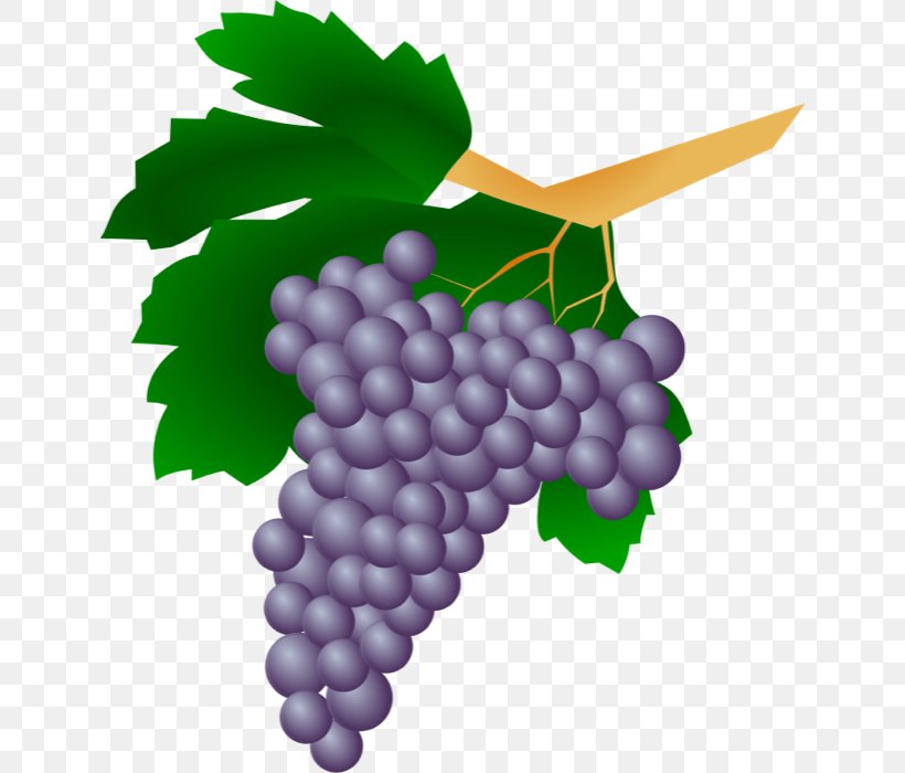 Common Grape Vine Straw Wine Grappa Clip Art, PNG, 638x700px, Common Grape Vine, Flowering Plant, Food, Fruit, Grape Download Free